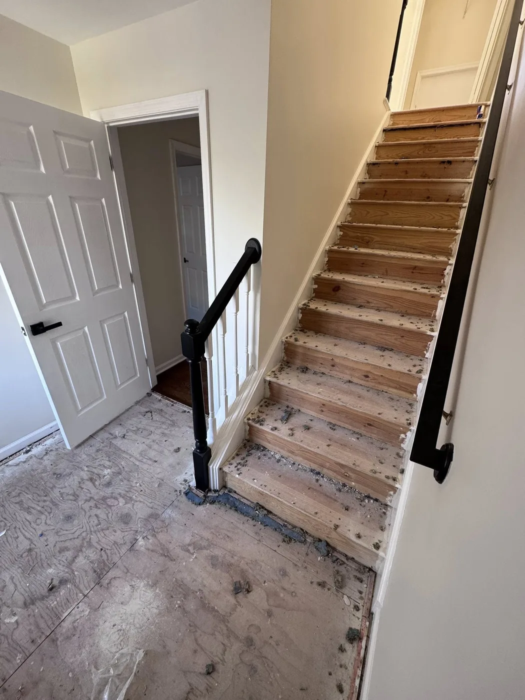 Carpet install pre-furniture